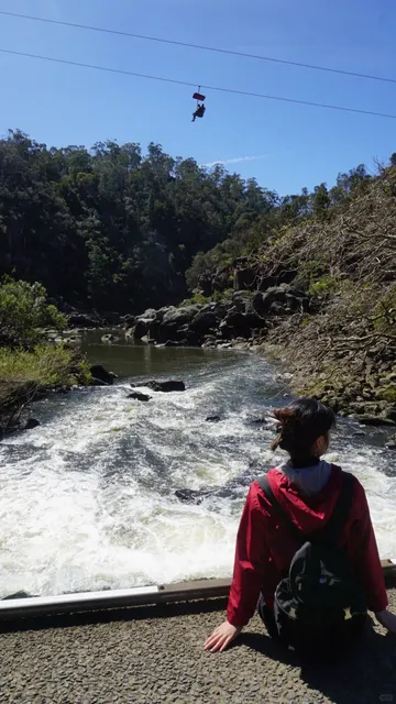 🇦🇺 TAS | Launceston's Cataract Gorge: Nature's Playground