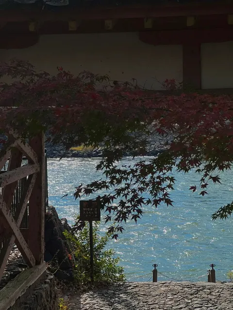 Uji + Kyoto 🍵🍡