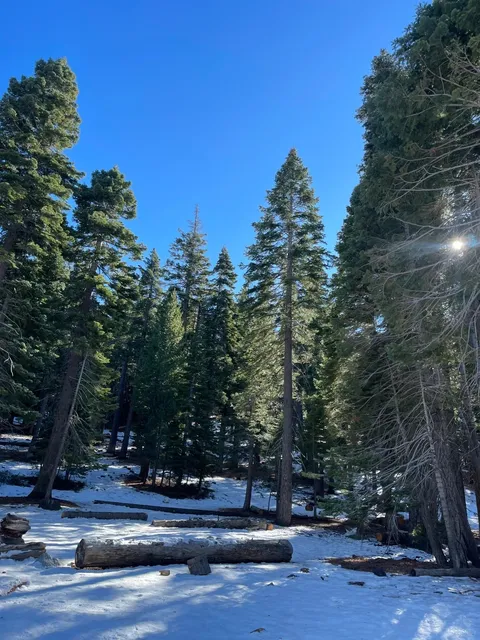 USA | The Corner Where Red Salmon Gather: Taylor Creek