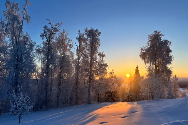 Winter｜Fairbanks, Alaska❄️