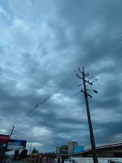 Albury: Where Life and Rest Blend Peacefully!🏡⚰️