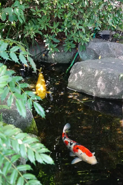 Yuigahama Beach 🌸🌺🌿🍃