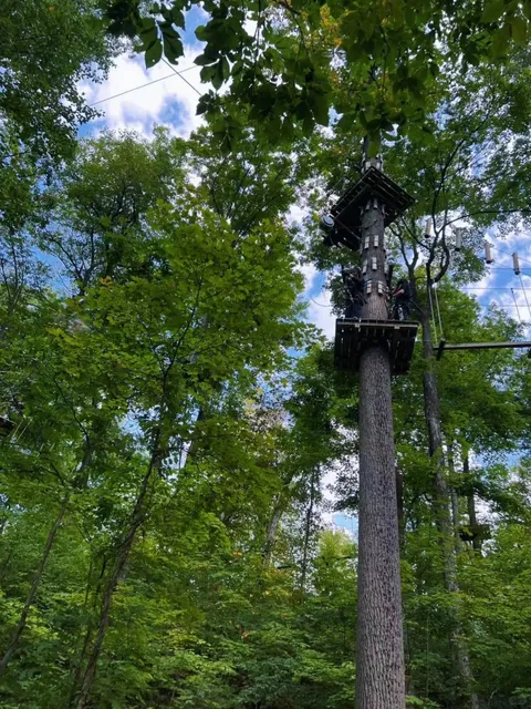 Treescape Aerial Adventure Park - Climb, Zip & Conquer Your Fears! 🌳