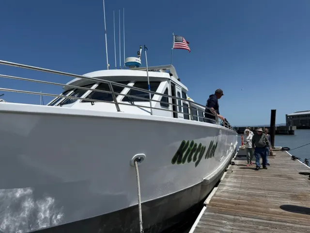 Captain! There Are Whales Here! 🐋✨