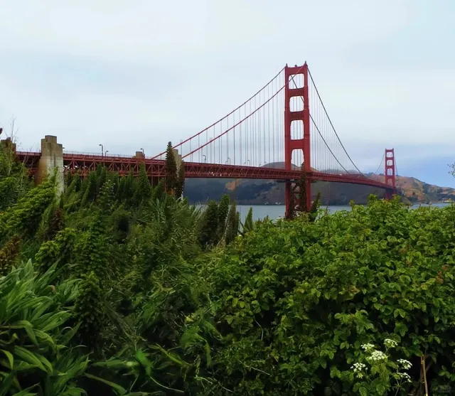 San Francisco Revisited: Poetry in the Fog, Majesty in the Views 🌁✨