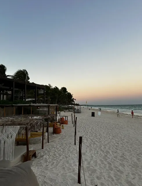 🌴 La Zebra: Tulum's Best Value Beachfront Dining