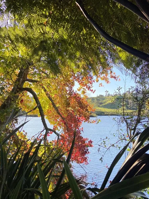  New Zealand Autumn Foraging | McLaren Falls Park 🍂  