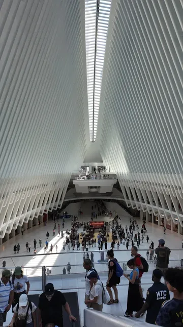 NYC Live Photos 🗽 | The Love-Hate Truth