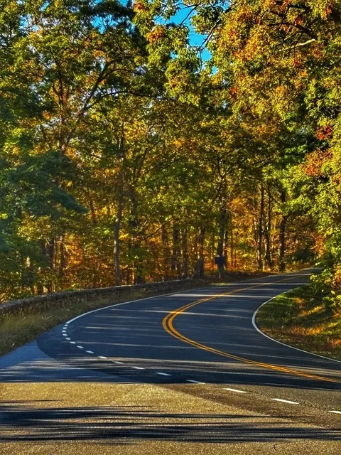 Fall Foliage in the U.S.: Shenandoah National Park 🍁