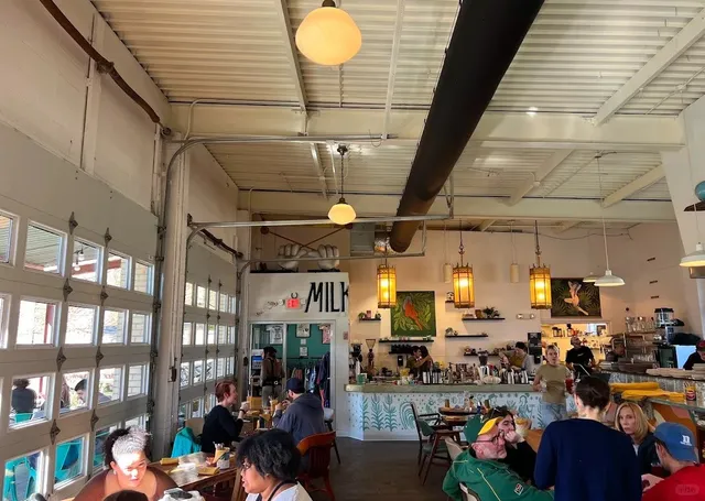 Milktooth: Indy’s Quirky & Delicious Brunch Spot! 🍳☕