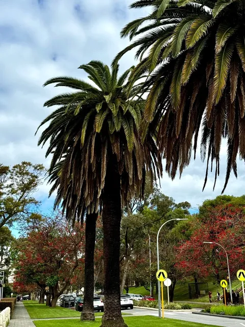 📍 Perth, Australia! 🌏 The World's Most Isolated City!