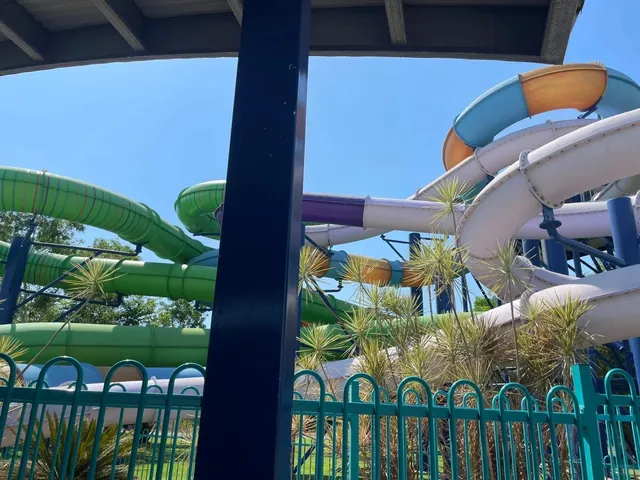 The Everyday Magic of Australia’s Tropical Capital！🌴✨