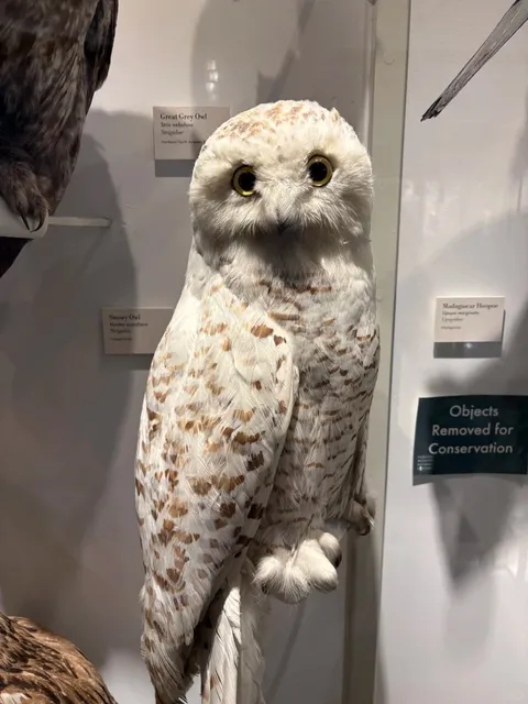 A Journey Through Hundreds of Millions of Years 🦕🌿💎