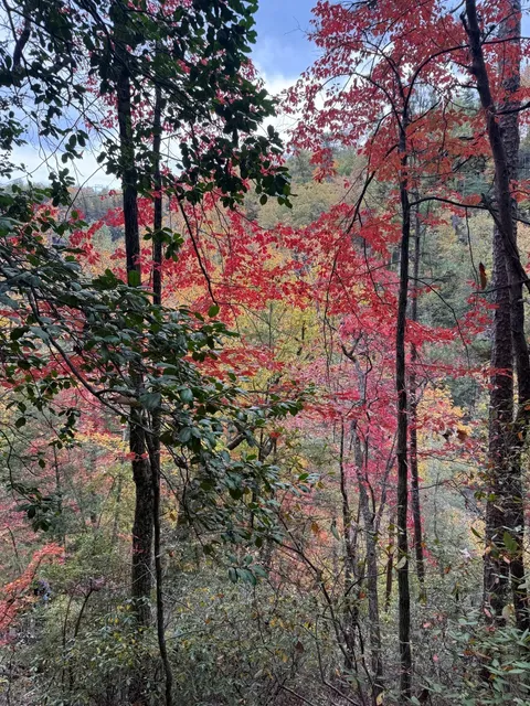 Tallulah Gorge State Park - Highly Recommend!