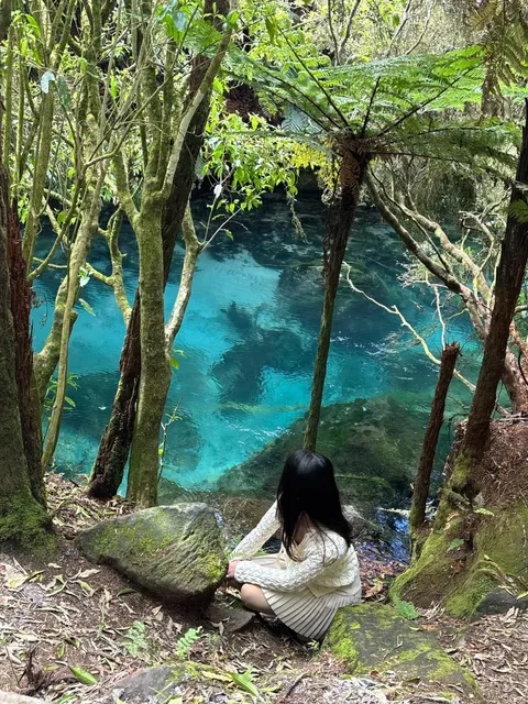 New Zealand North Island: 7 FREE Epic Spots in 1 Day