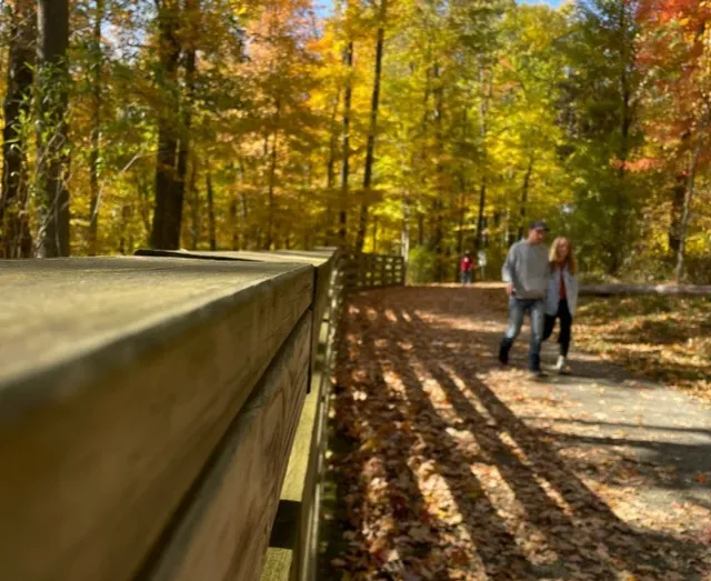 🌳 Rocky River Park Cleveland 