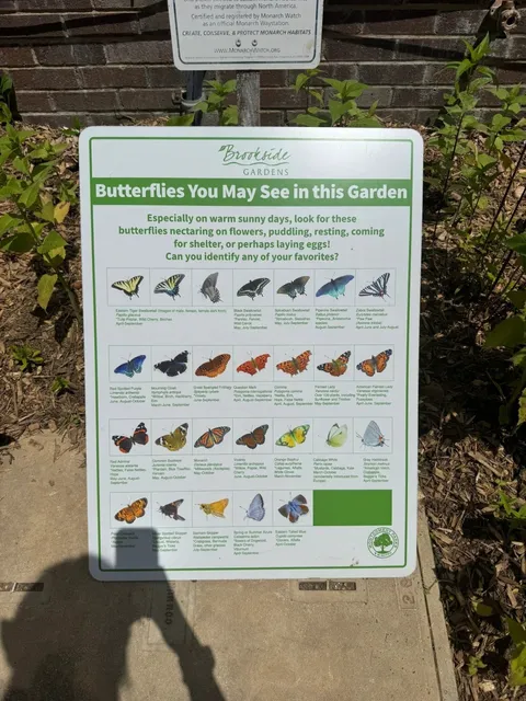 【Weekend Guide】MD Brookside Gardens Butterfly Exhibit 🦋