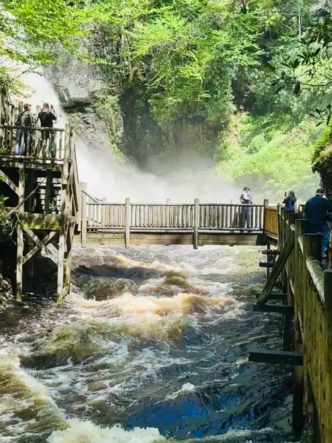 🍃 Hidden Gems Near New York for a Cool Summer Escape 