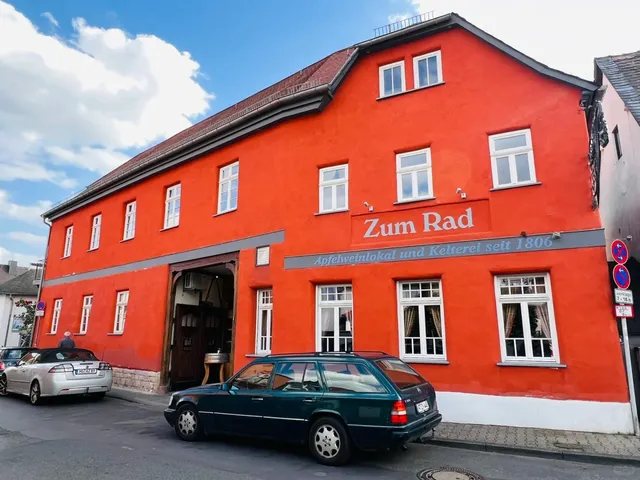 Frankfurt Traditional German Cuisine at Zum Rad 🥩🍗🍖