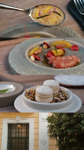 Athens | Beautiful Restaurant Soil Restaurant