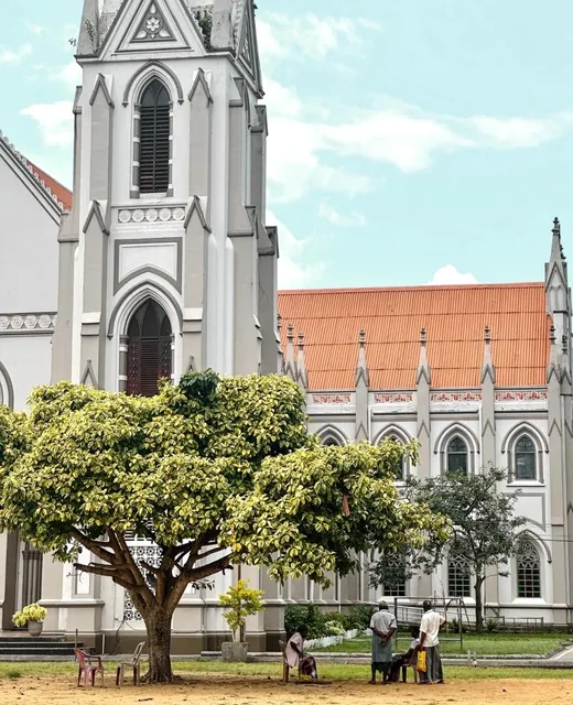 National treasure of Ceylon!