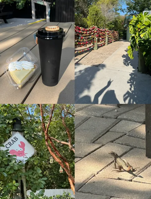 ​​My First Solo Trip to Miami | Diving + Everglades Adventure​​ 🌊🐊