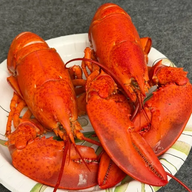 $5 Lobster at Pittsburgh's Enson Market! 🦞✨