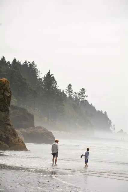 Olympic National Park Ultimate Guide 🏔️🌲🌊