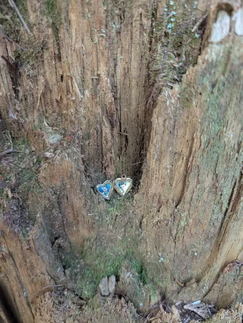 An Absolutely Brilliant Twin Peaks Tour – A True Feast for Fans! 🏔️🦉