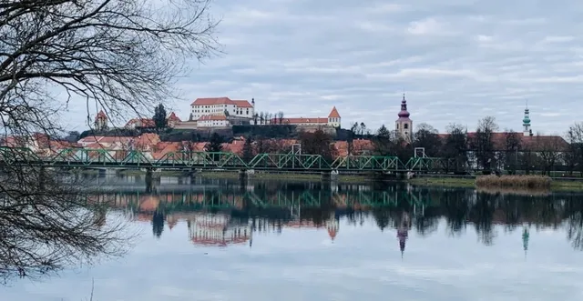 European Birdwatching at Ptuj Lake, Slovenia