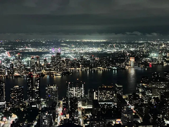 Empire State Building Tour Guide in New York(1) 🌟