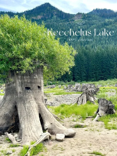🇬🇧 Keechelus Lake: The Surreal Sunken Forest Adventure 🌲💥
