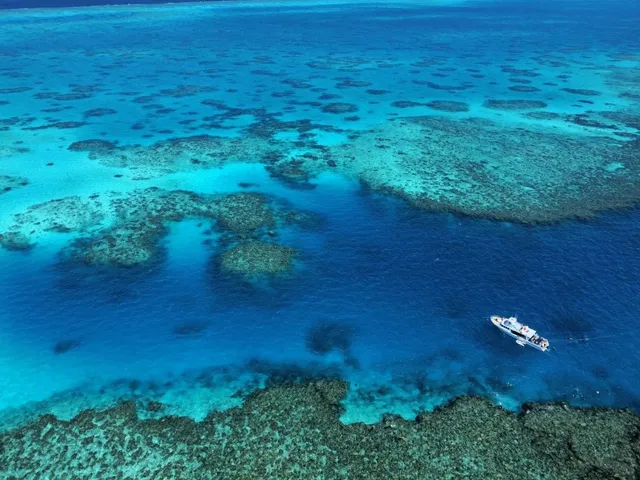Townsville Travelogue: Where Reef Meets Wilderness 🌊🐋