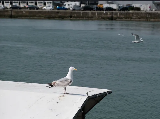 Peripheral city near Paris | ❣️Boulogne sur Mer 