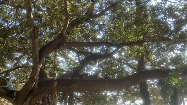  Syracuse | How Could One Ever Grow Tired of Solitary Strolls?