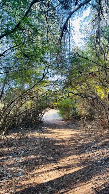 Weekend Hiking Bliss - Near ATL 🌿