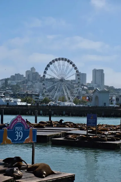 🌁 San Francisco One-Day Tour: Efficient 8-Stop Route Guide 🚗💨