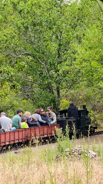 🚂 Berkeley’s Enchanted Forest Steam Train | Perfect Family Day Trip 