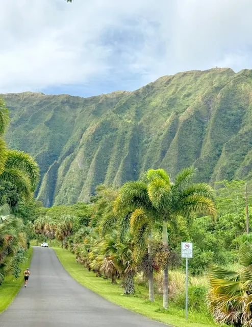 🌿 Alice's Wonderland in Hawaii | Hoʻomaluhia Botanical Garden