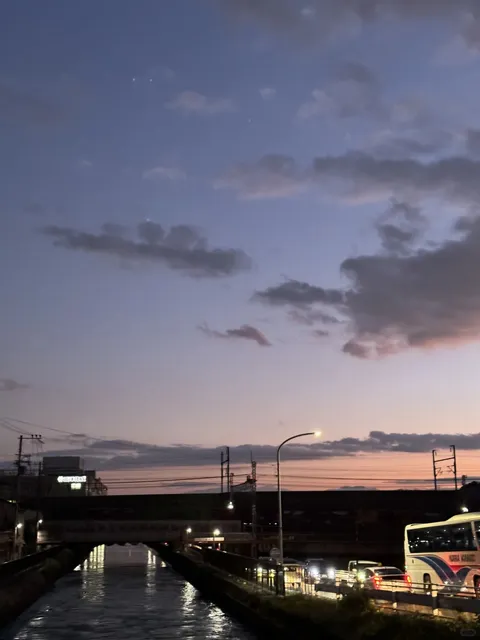 🗼 Kyoto Tower 🌸