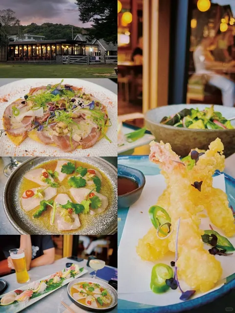 🇳🇿 Auckland’s Mission Bay Day Trip | Ultimate Guide