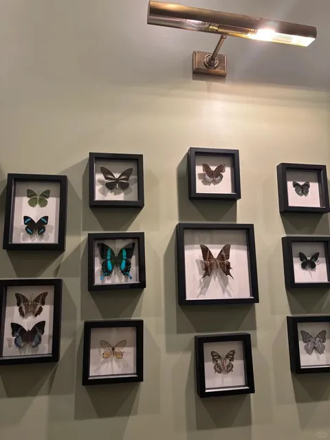  Atlanta | Mend Coffee & Goods – The City's Most Heartwarming Cafe ☕️