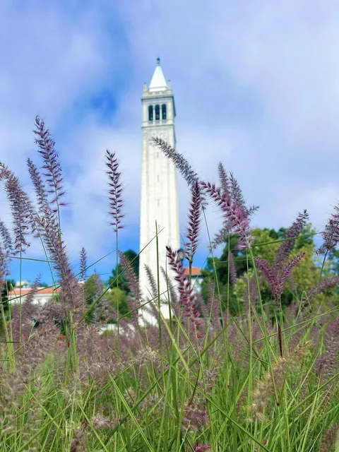 UC Berkeley | One-Day Relaxed Tour Guide 🎒🌉