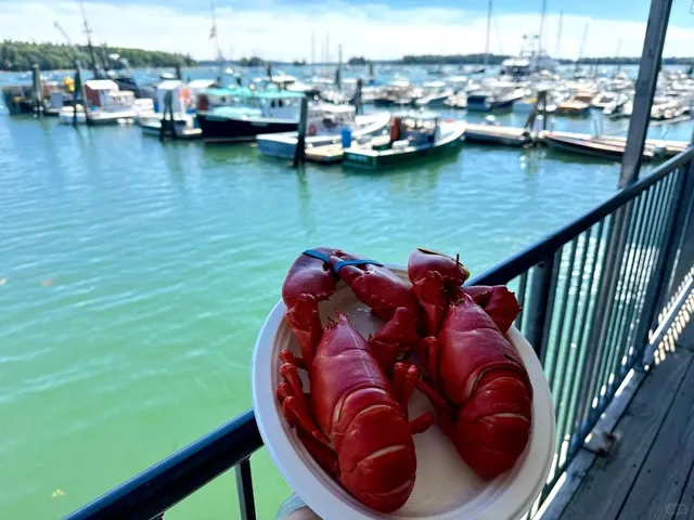 Boston & Maine’s Best Lobster 🦞