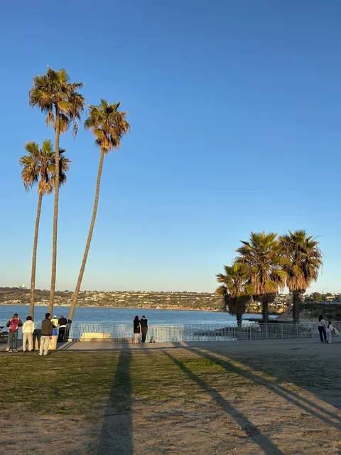 🌴 San Diego Itinerary: Seals, Sunsets & Hidden Gems!