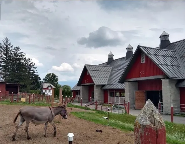 🚜🚀 Ingenium Ottawa: Where Science, Farming, and Flight Collide! 🔬🌾