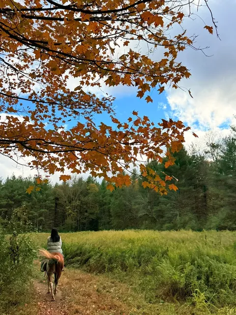 New York | A Horseback Riding Trail for a Lifetime of Equestrian Love