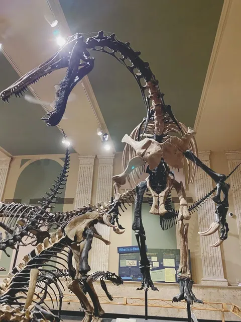  Free Dinosaur Museum Near Chicago/Milwaukee