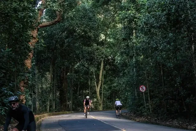 🌿 The Green Lung of Rio: Exploring Tijuca National Park 🌳