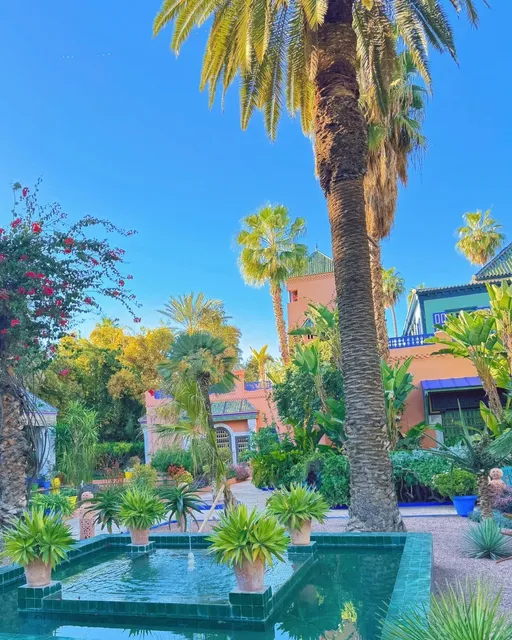 This garden is so surreal! 🌵😲（2）